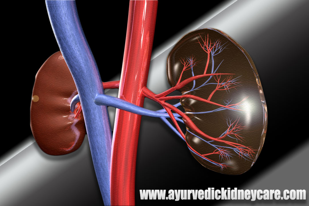 Effective Ayurvedic Kidney Failure Treatment by Dr. Puneet DhawanHealth and BeautyHospitalsNorth DelhiPitampura