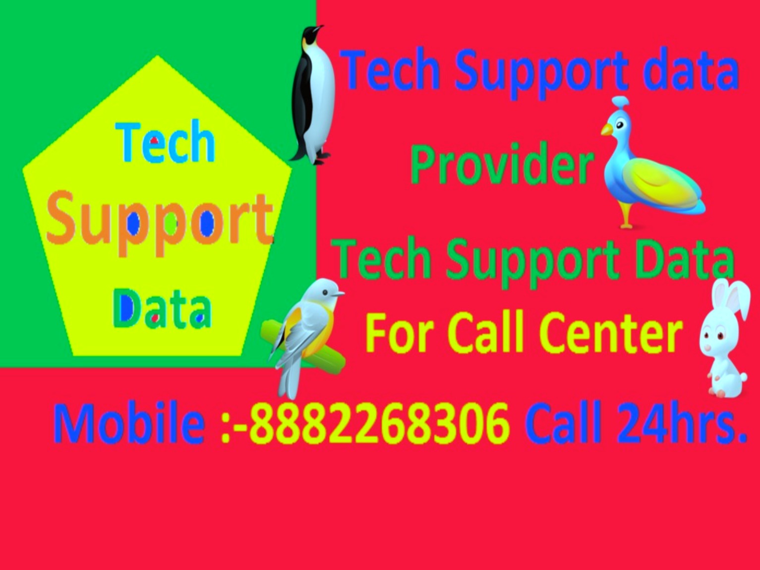 Tech Support DataServicesBusiness OffersGurgaonPalam Vihar