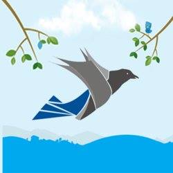 Digital Marketing Training Coimbatore, 9788449942