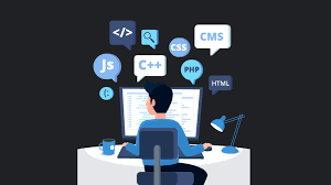 software developer