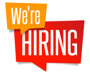 Marketing Executive