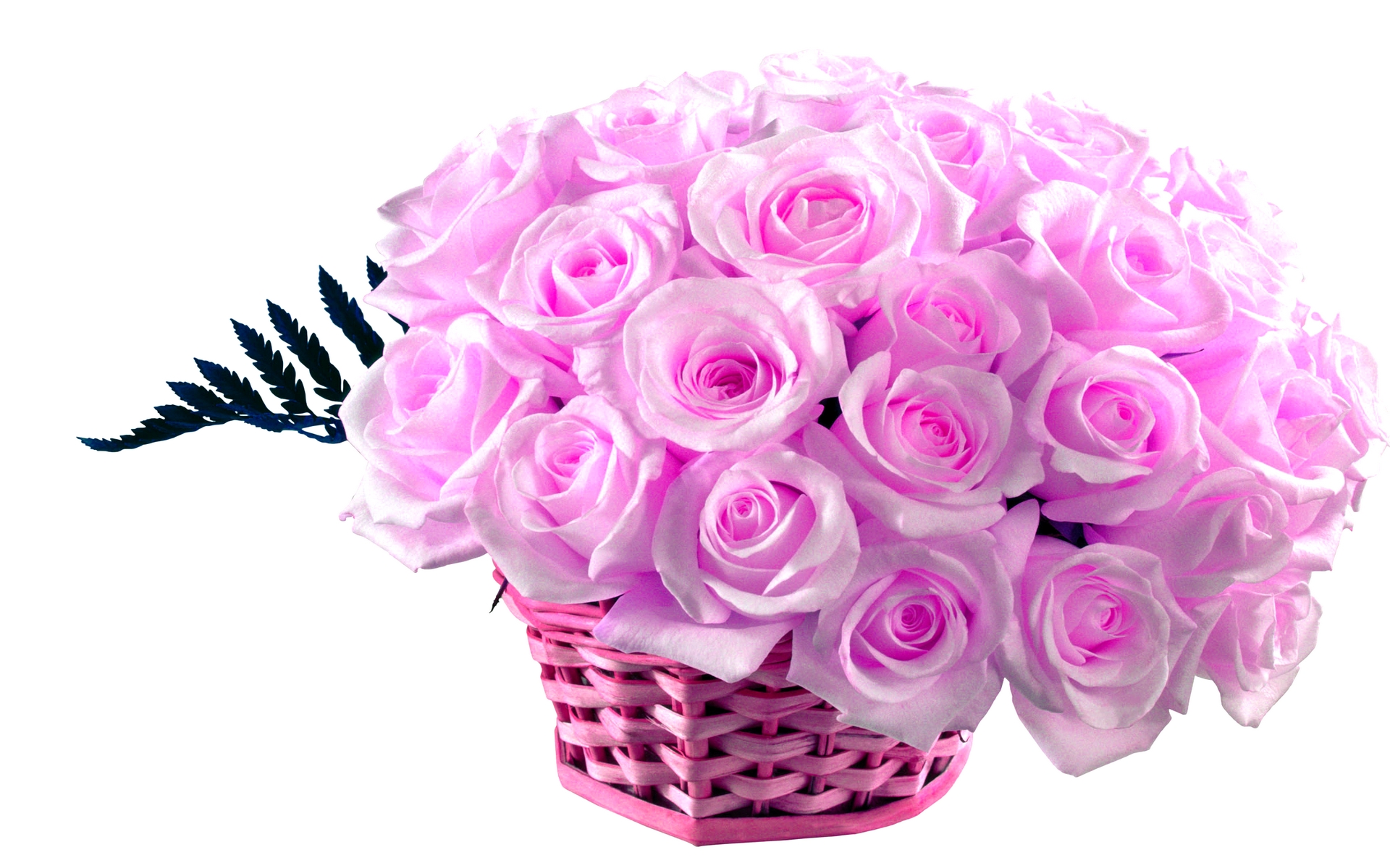 Send New Year flowers to IndiaServicesEverything ElseEast DelhiLaxmi Nagar