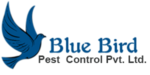 Pest Control ServicesServicesEverything ElseGhaziabadOther