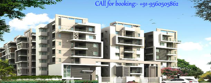 Dlf new launch gurgaon|9560505862|Real EstateApartments  For SaleGurgaonSushant Lok