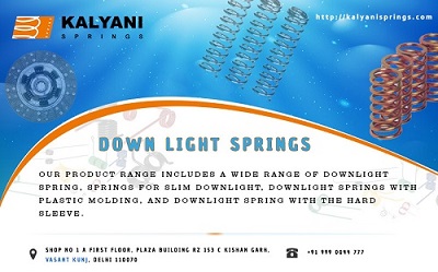 Down Light SpringsServicesEverything ElseSouth DelhiVasant Kunj