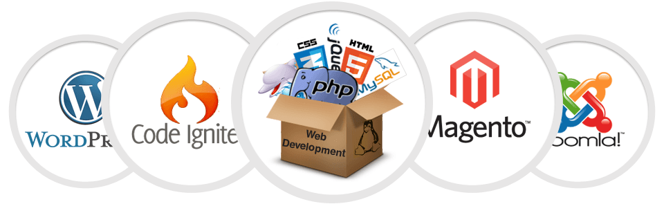 Web Design Company in Chennai