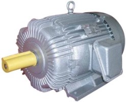 We are offering ! Induction Motor
