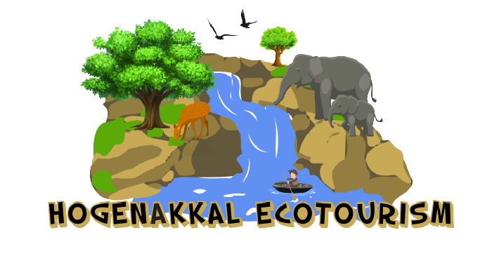 Tour Packages & Online Room Booking in Hogenakkal