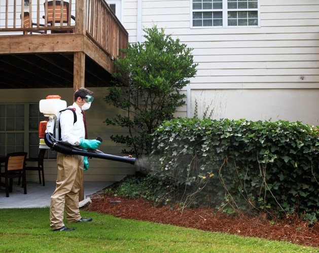 General Insecticides Pest Control