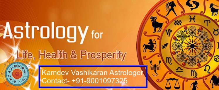 Solve your problems with the help of best astrologer in Delhi