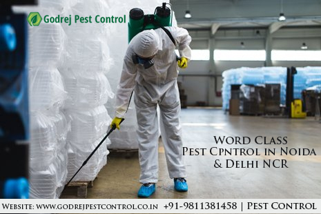 Pest Control Delhi â€“Book Appointment NowServicesHousehold Repairs RenovationGurgaonDLF