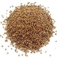 We are offering ! Ajwain SeedsManufacturers and ExportersFood & BeveragesAll Indiaother