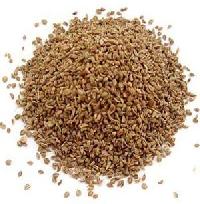 We are offering ! Ajwain Seeds