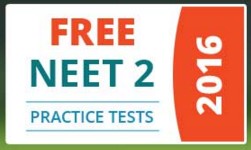 Free Access to NEET 2 Practice Papers | Wonderwhizkids