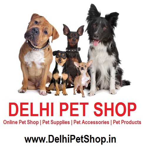Online Pet Store Delhi Noida GurgaonPets and Pet CarePet FoodsCentral DelhiSadar Bazar