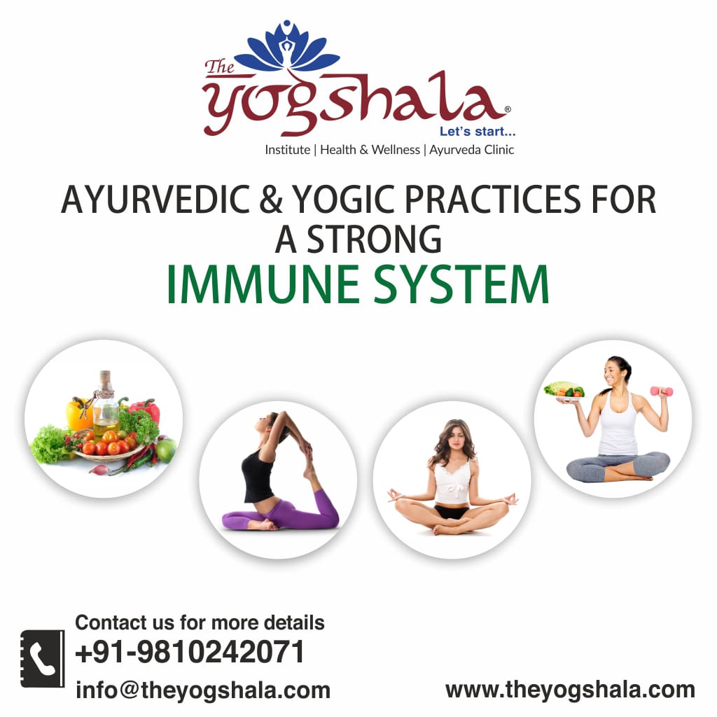 Ayurvedic Clinic and Panchkarma Treatment Center in Model Town, DelhiHealth and BeautyFitness CentresNorth DelhiModel Town