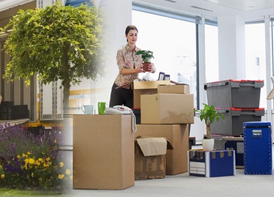 Packers & Movers For Commercial