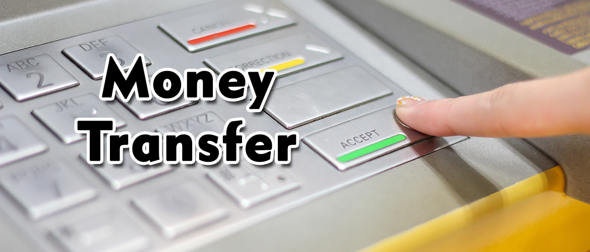 Domestic Money Transfer