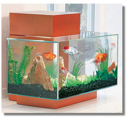 We are offering Aquarium AccessoriesOtherAnnouncementsAll Indiaother