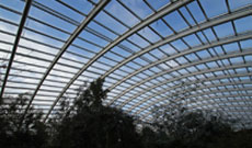 We are offering Plant covers an area