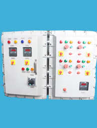 Flameproof PLC Automation Control Panel