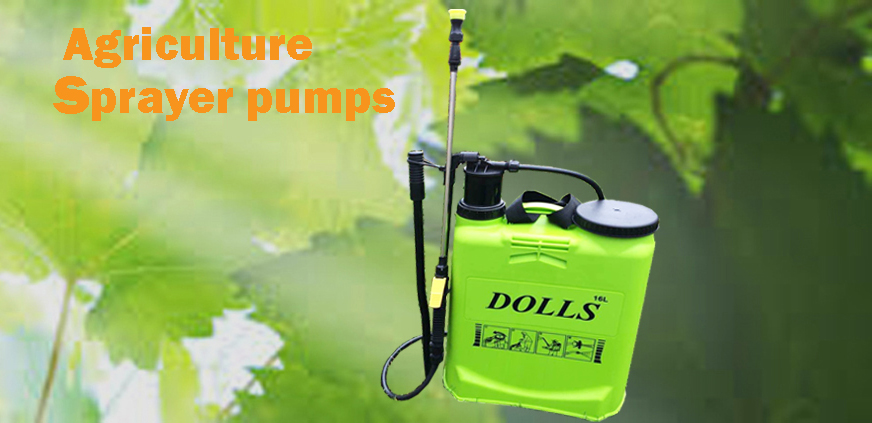 Agriculture Battery Operated Sprayer Pump