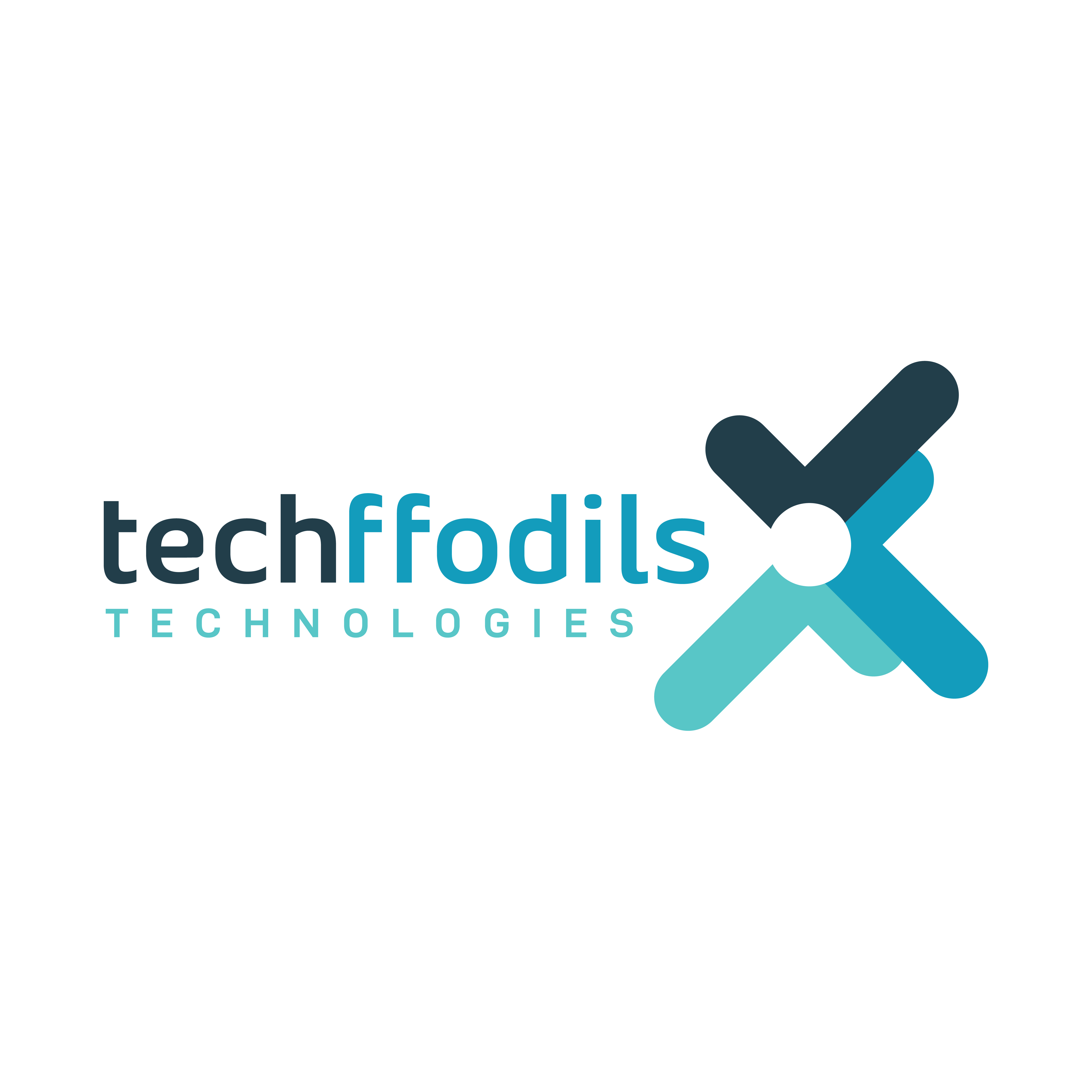 Software Development - Techffodils TechnologiesServicesEverything ElseSouth DelhiOther
