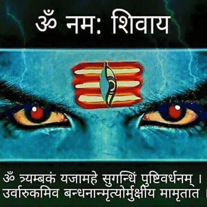 Astrology Advice in Delhi NCR