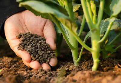 Bio FertilizerManufacturers and ExportersAgriculture ProductsAll Indiaother