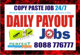 Copy Paste Job Daily Payout | Daily Earnings | Copy Paste Jobs | Earn Daily IncomeJobsOther JobsAll Indiaother