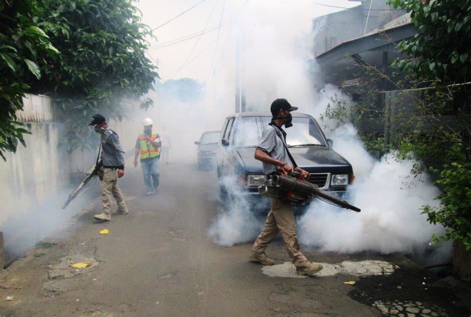 Fogging Services