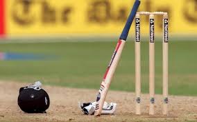 How play cricket