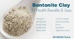 Sodium bentoniteServicesBusiness Offers