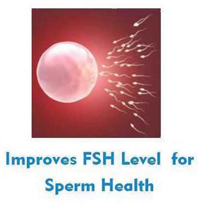 Male Infertility Treatment in IndiaServicesHealth - FitnessWest DelhiKirti Nagar