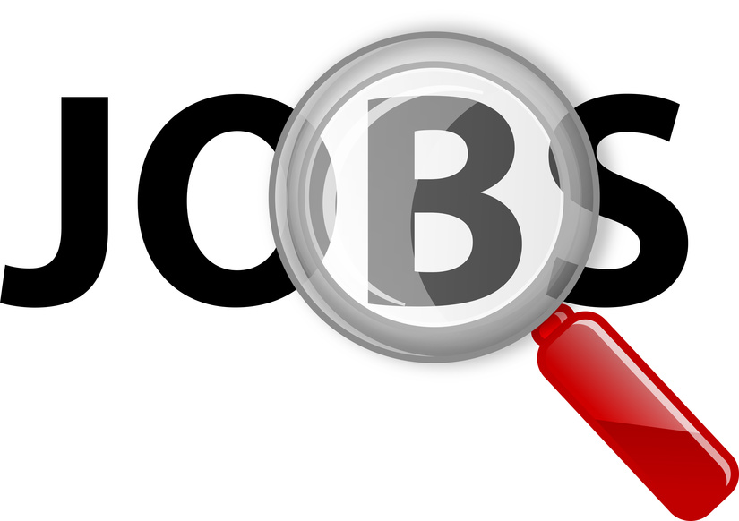 Tourism Company Required |Online Promoters