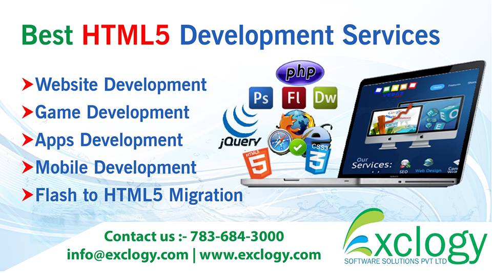 Website Design & Development Services in Delhi NCR