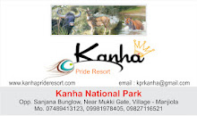 kanha national park  Tiger land in madhay pradeshTour and TravelsTour PackagesWest DelhiTilak Nagar
