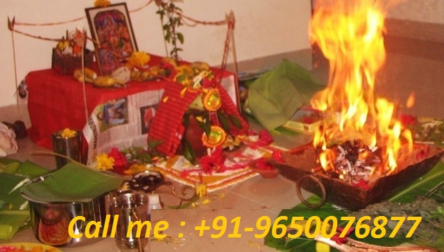 Astrologer for love solution