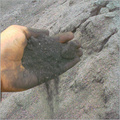 We are offering ! Coal Dust