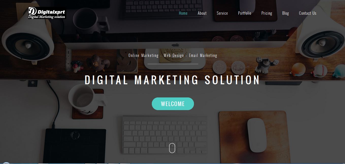 Digital Marketing company in india