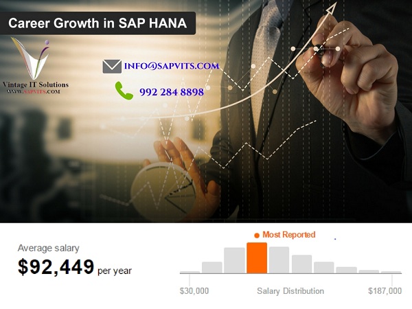 SAP HANA Training Material in Bangalore