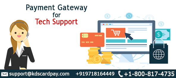 Payment Gateway for Tech SupportServicesInvestment - Financial PlanningNoidaNoida Sector 10