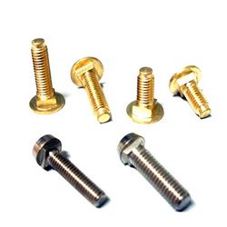 We are offering Metal Screws