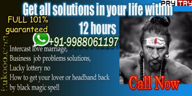 Karobar specialist baba ji