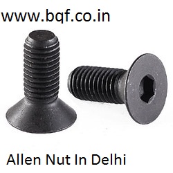 Allen nut in DelhiBuy and SellHardware ItemsNorth DelhiDaryaganj