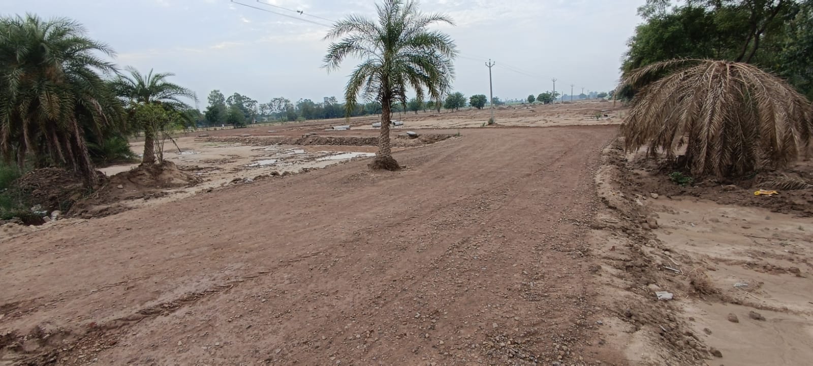 Countryside Greens || Plots in Ludhiana-Chandigarh highway || 9646-650-650Real EstateLand Plot For SaleAll Indiaother