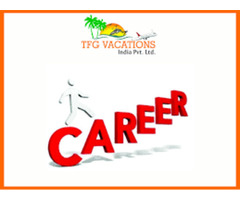 Online Marketing In Tourism Company-Hiring Fresher Now