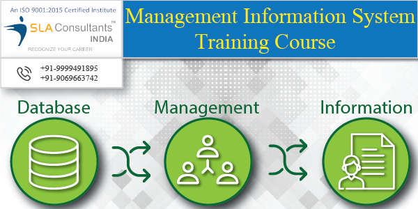 Choose The Best MIS Training Course in Gurgaon with Professional Trainers