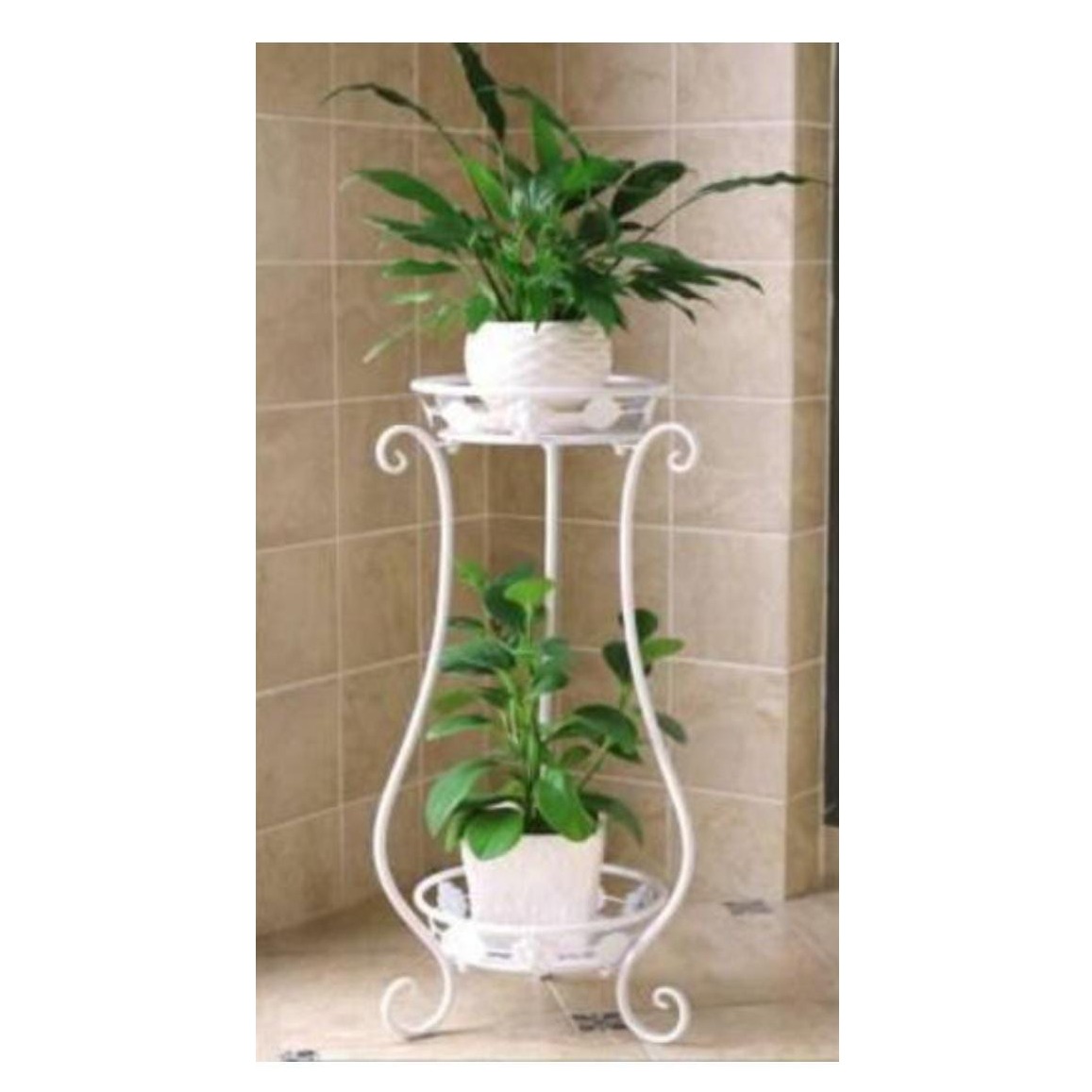 Buy planters and plants at low cost at apkainterior.com