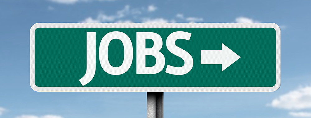VACCANCY FOR FLIGHT BOOKING EXECUTIVE IN AN IATA TRAVEL AGENCY COMPANY